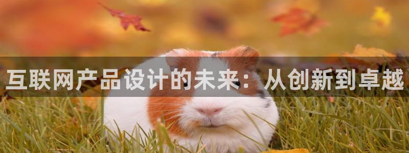 辉达娱乐广东11选5