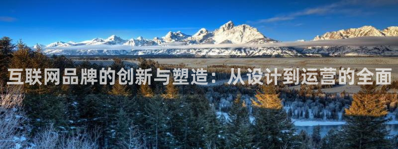 辉达娱乐游戏.直开.中国