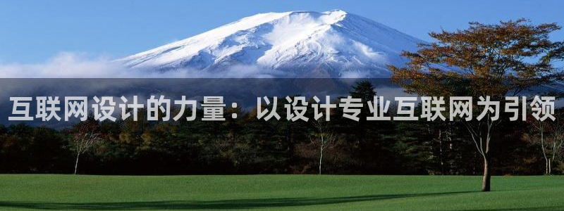 辉达娱乐时时彩平台：互联网设计