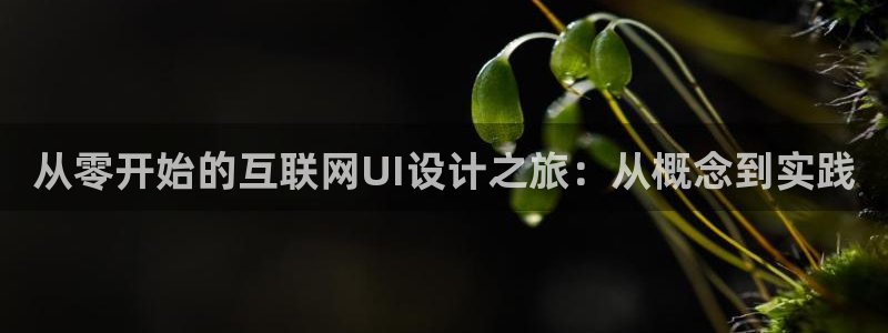 辉达娱乐丿75505