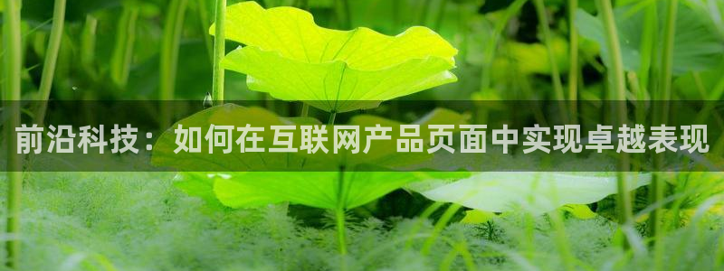 辉达娱乐正规吗