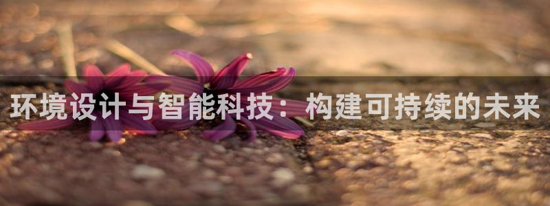 辉达娱乐己75505