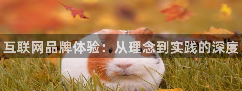 代理辉达娱乐官方网址