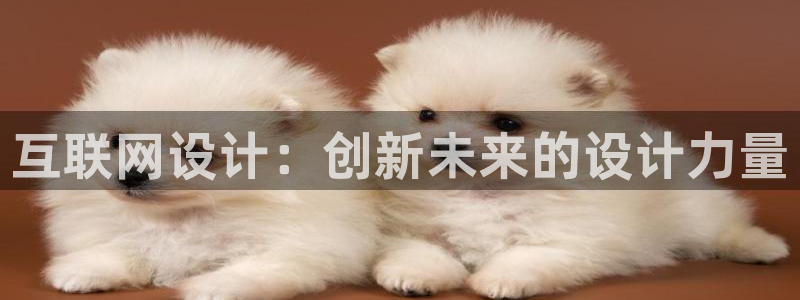 辉达娱乐最新版本更新内容