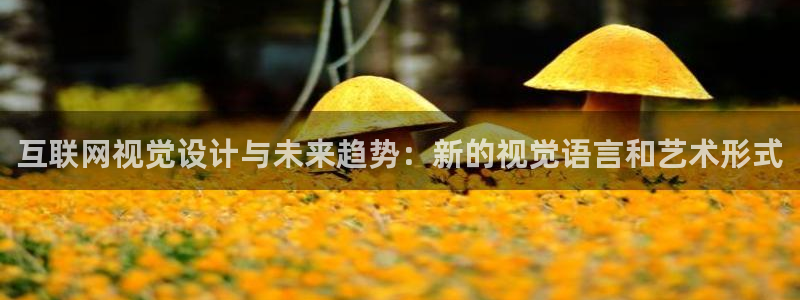 辉达娱乐注册