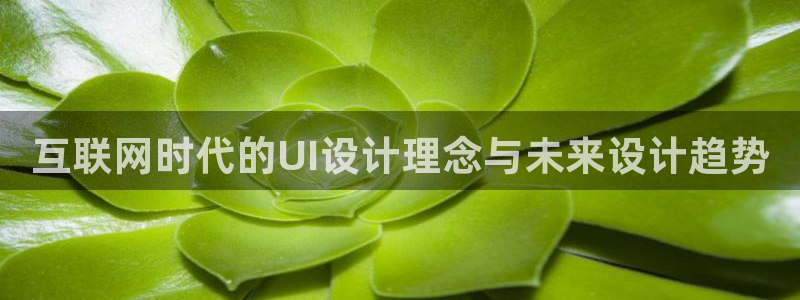 辉达娱乐注册