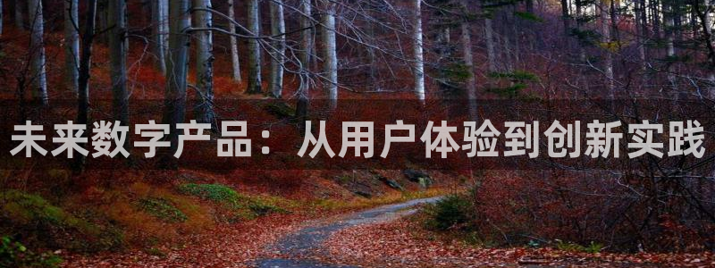 辉达娱乐可靠：未来数字产品：从