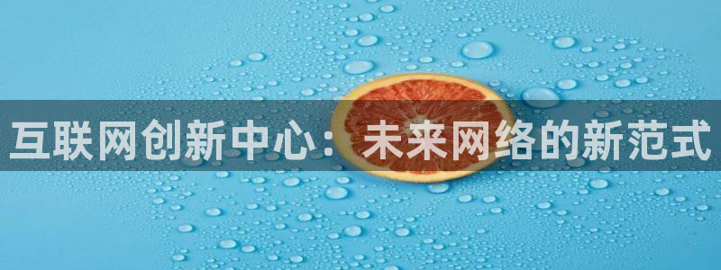辉达娱乐注册：互联网创新中心：