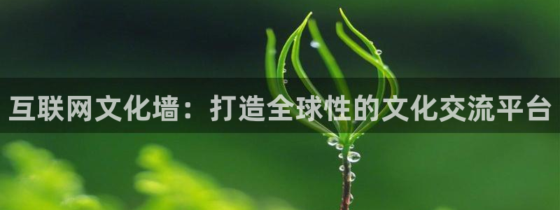 达利娱乐王辉：互联网文化墙：打