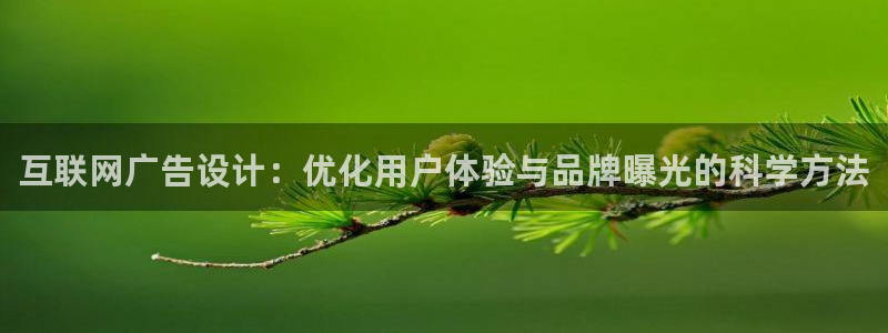 辉达娱乐加q75775稳定