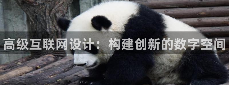 辉达娱乐加q75775稳定