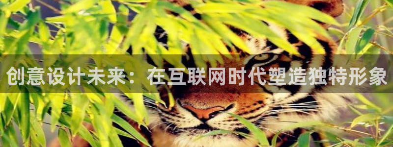 辉达娱乐时时彩平台