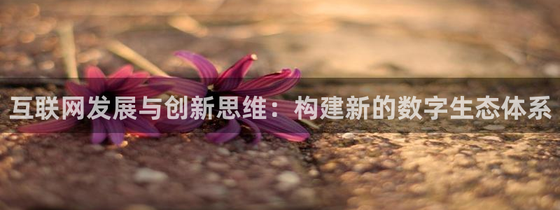辉达娱乐排列三