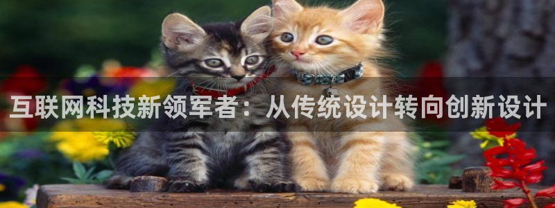 辉达娱乐时时彩平台