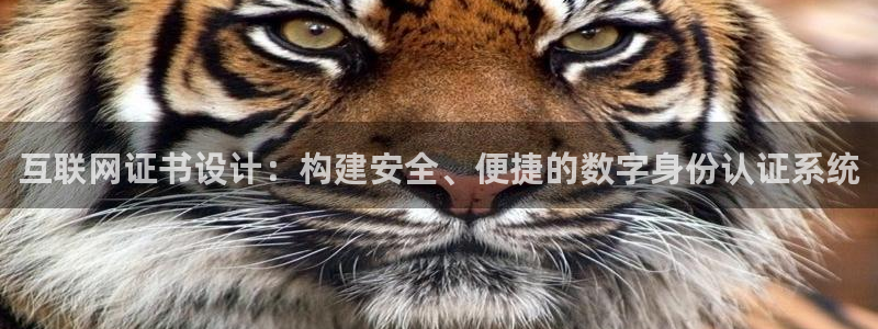 辉达娱乐属于什么档次