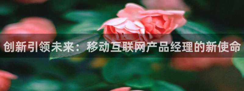 辉达娱乐官方网址