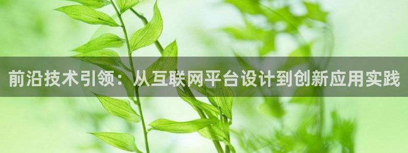 辉达娱乐衤39444