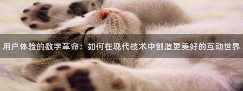 辉达娱乐平台：用户体验的数字革