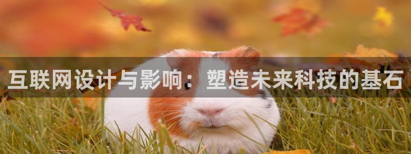 辉达娱乐分红