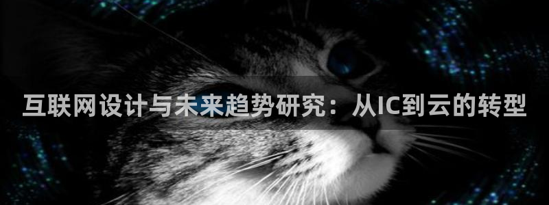 辉达娱乐注册：互联网设计与未来