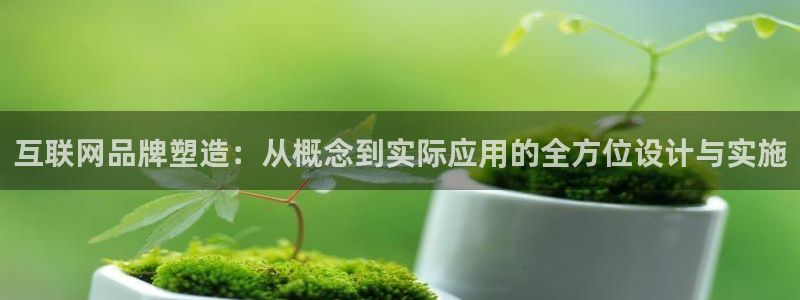 辉达娱乐丿75505：互联网品