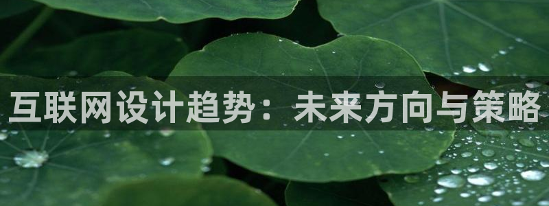 专业辉达娱乐在线游戏