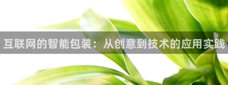 辉达平台注册官方网站入口：互联