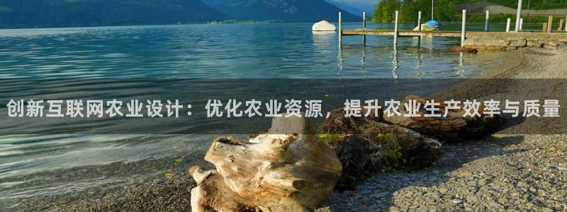 辉达娱乐注册：创新互联网农业设